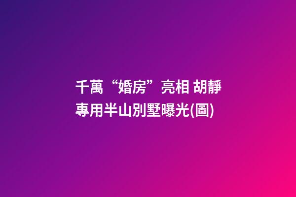 千萬“婚房”亮相 胡靜專用半山別墅曝光(圖)